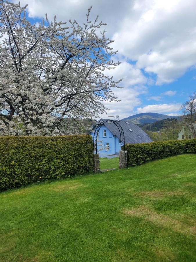 Blue Pension Svoboda nad Upou Bagian luar foto